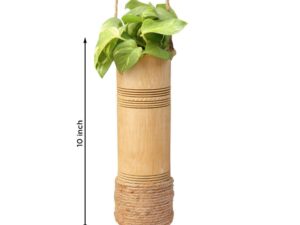 Bamboo Planter