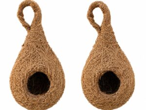 Bird Nest (Coconut fibre)
