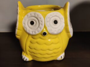 Ceramic owl Planter
