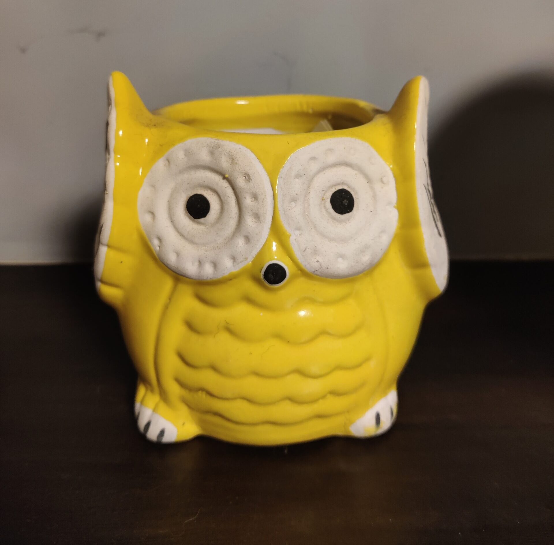 Ceramic owl Planter
