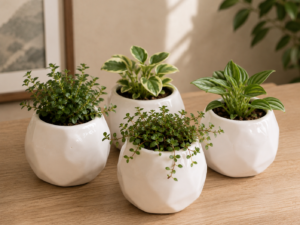 Ceramic Planter Pot (Set of 4)