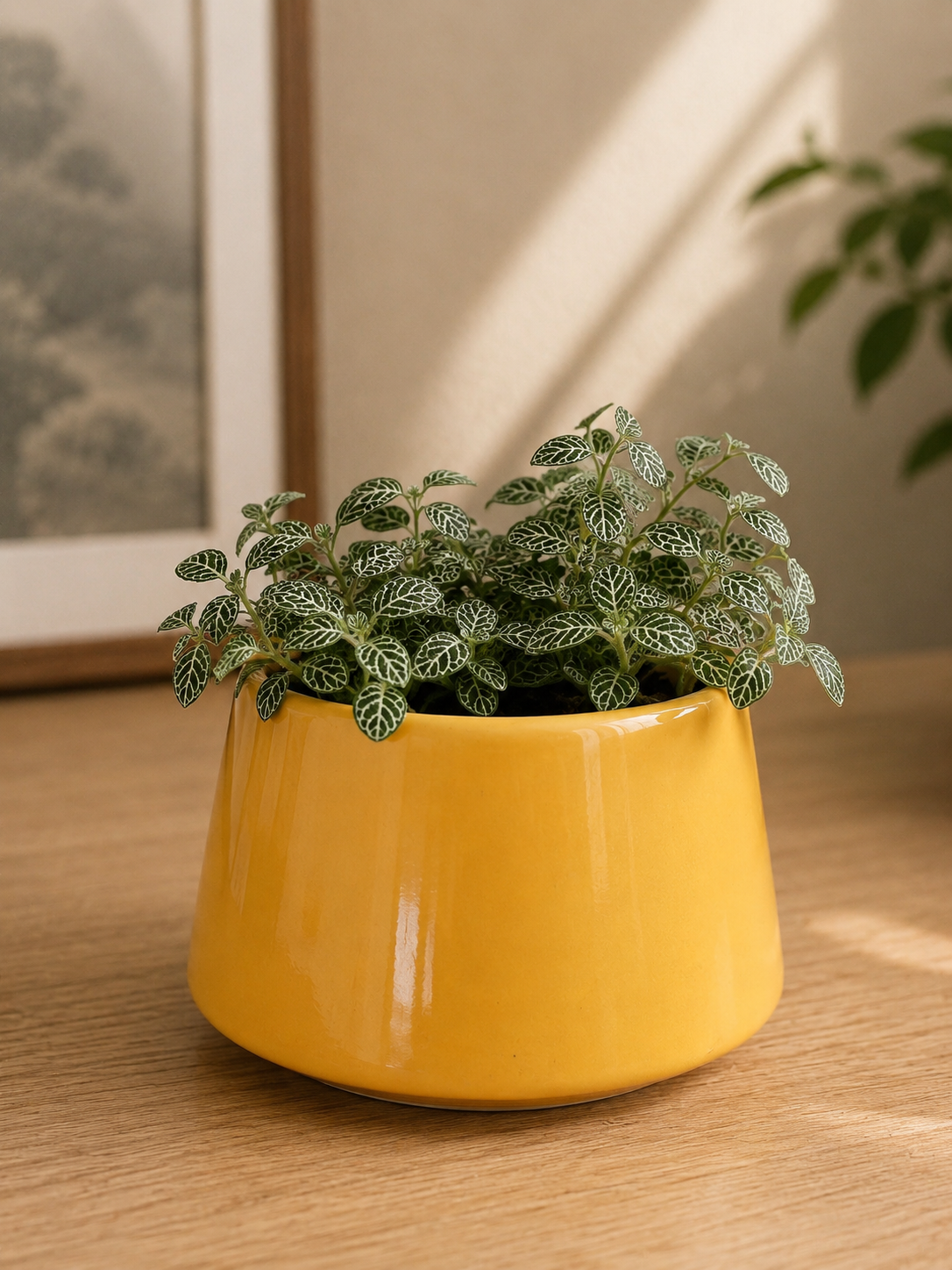 Ceramic Planter (Yellow)